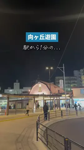 たくぽん | 川崎グルメのTikTok投稿