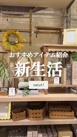 はるの𓊆 好きを見逃さない新作雑貨速報 𓊇のTikTok投稿