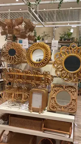 はるの𓊆 好きを見逃さない新作雑貨速報 𓊇のTikTok投稿