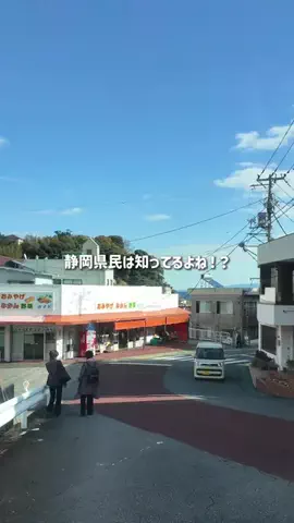 静岡グルメ／SHIZUOKA SELECTのTikTok投稿