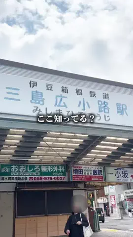 静岡グルメ／SHIZUOKA SELECTのTikTok投稿