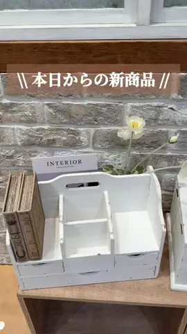 はるの𓊆 好きを見逃さない新作雑貨速報 𓊇のTikTok投稿
