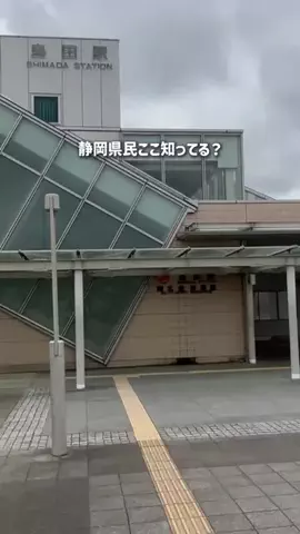 静岡グルメ／SHIZUOKA SELECTのTikTok投稿