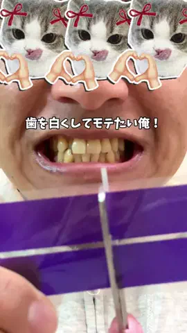 恋愛課長【デートできる裏技満載】のTikTok投稿