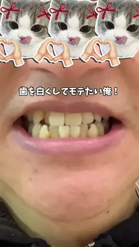 恋愛課長【デートできる裏技満載】のTikTok投稿