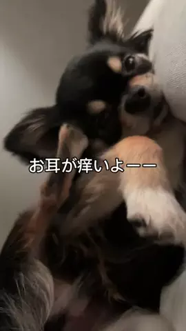 kukuのTikTok投稿