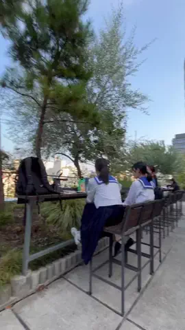 くまっぷのTikTok投稿