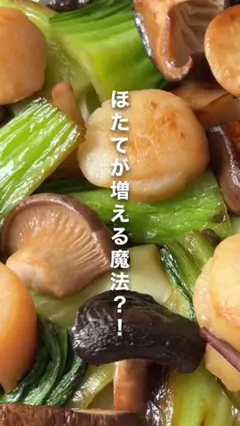 中原麻希のTikTok投稿