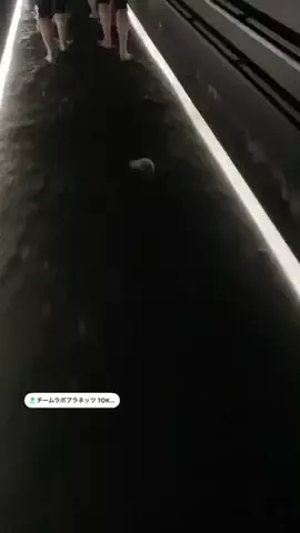 cyazukeのTikTok投稿