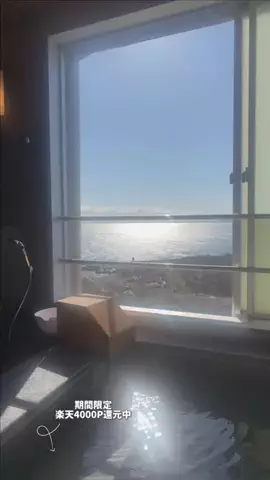 いなりずしのTikTok投稿