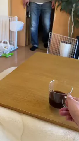 親子バラエティのTikTok投稿