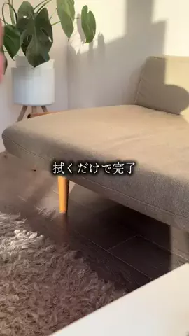 ブルベのCocoのTikTok投稿
