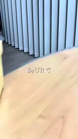 ブルベのCocoのTikTok投稿