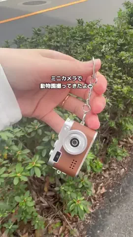 とくとく夫婦｜TikTokShopオタクのTikTok投稿
