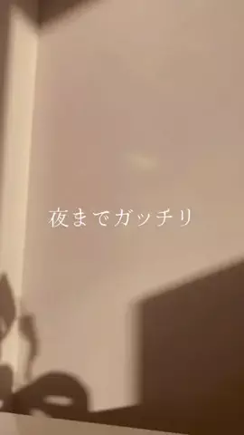 ブルベのCocoのTikTok投稿