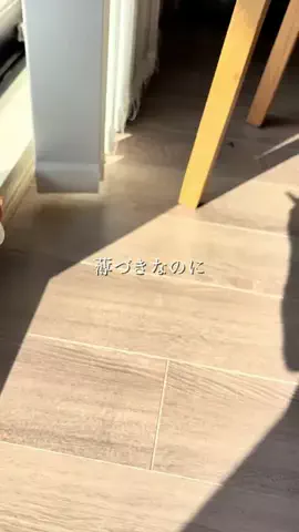 ブルベのCocoのTikTok投稿