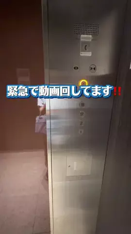 こんにゃくちゃん/週末トラベラー✈️のTikTok投稿