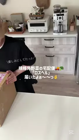 𝐏𝐚𝐬𝐞𝐫𝐢🌿のTikTok投稿