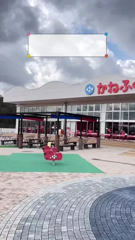Merry Marry【結婚相談所】のTikTok投稿