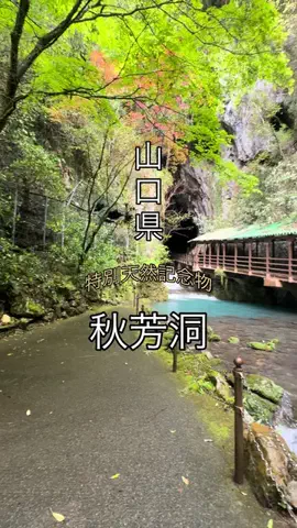 げっしるい🍈のTikTok投稿
