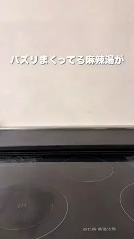 さやぴい⌇整えるごはんと暮らしのTikTok投稿