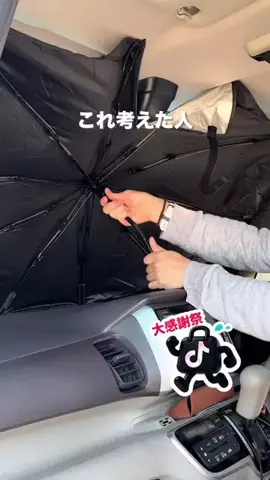 さやぴい⌇整えるごはんと暮らしのTikTok投稿