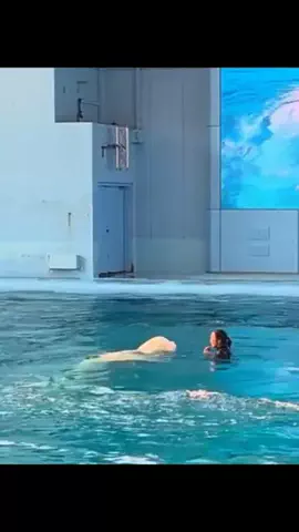 こっちのマリカのTikTok投稿