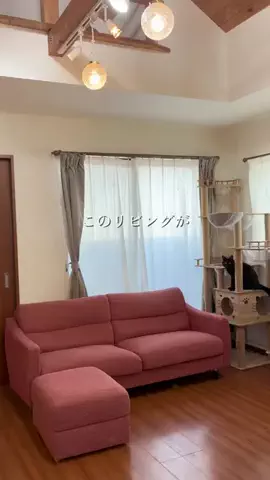 中島さんのTikTok投稿