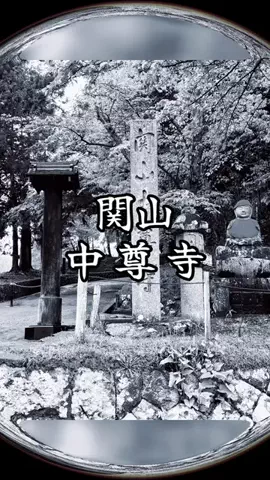 ぴーち まいけるのTikTok投稿