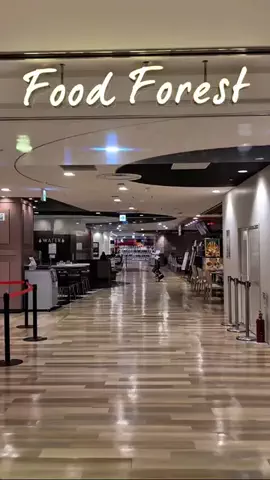 いち⌇ 札幌カフェ・札幌グルメのTikTok投稿