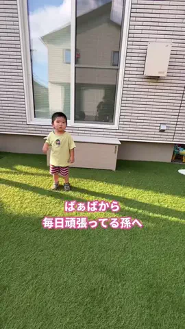 tomo_tani_LifeのTikTok投稿