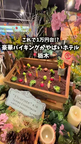 りとスポットのTikTok投稿
