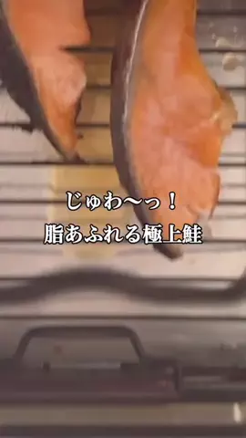 嶋田あさ美（あみん）のTikTok投稿