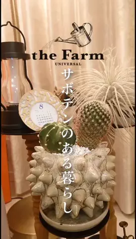 maco1695のTikTok投稿