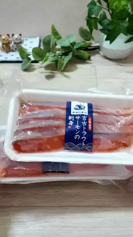 お〜ちゃんのTikTok投稿
