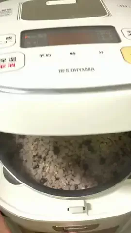 お〜ちゃんのTikTok投稿