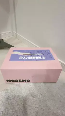 ほにょぺにょこのTikTok投稿