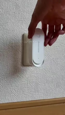 お〜ちゃんのTikTok投稿