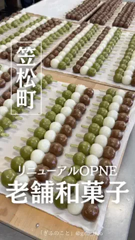 ぎふのことのTikTok投稿
