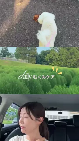 フリーアナウンサーみついよしえ☀️🌈のTikTok投稿