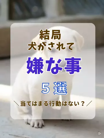わんLOVE同好会のTikTok投稿