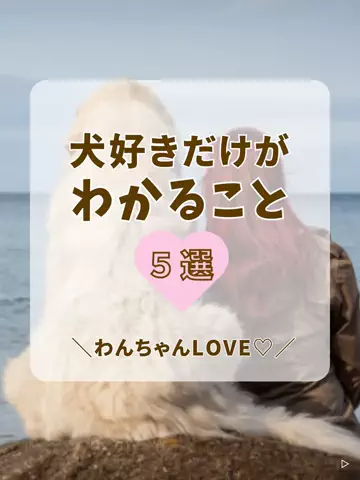 わんLOVE同好会のTikTok投稿