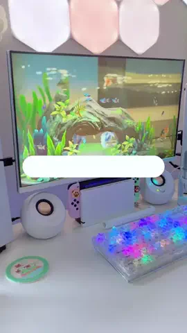 りりねこちゃんねるのTikTok投稿