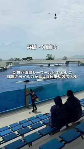 アーク🐐のTikTok投稿