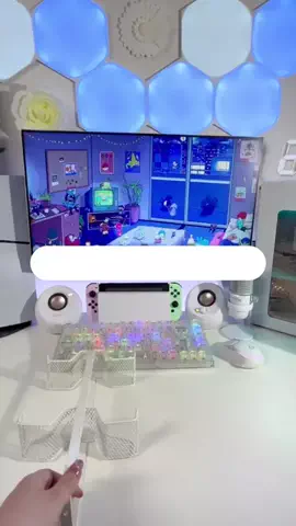 りりねこちゃんねるのTikTok投稿