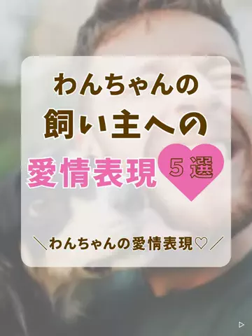 わんLOVE同好会のTikTok投稿