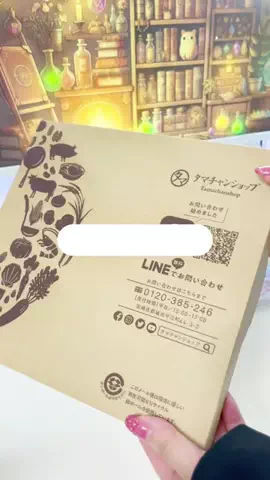 りりねこちゃんねるのTikTok投稿