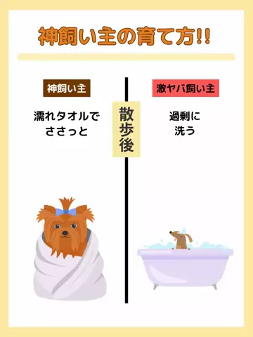 わんLOVE同好会のTikTok投稿