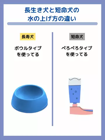 わんLOVE同好会のTikTok投稿