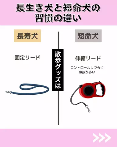 わんLOVE同好会のTikTok投稿
